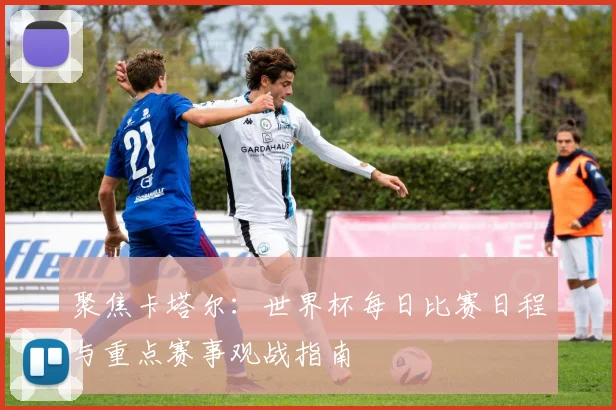 聚焦卡塔尔：世界杯每日比赛日程与重点赛事观战指南