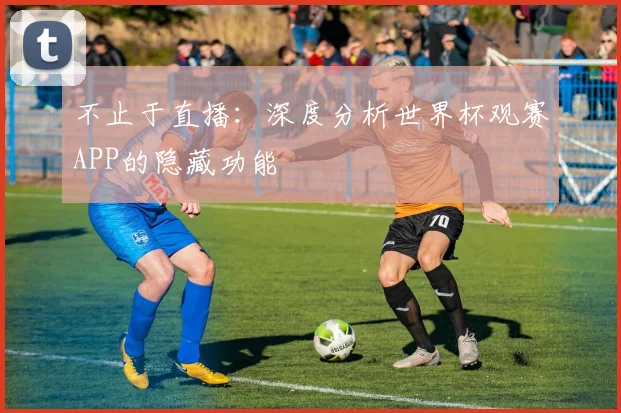 不止于直播：深度分析世界杯观赛APP的隐藏功能