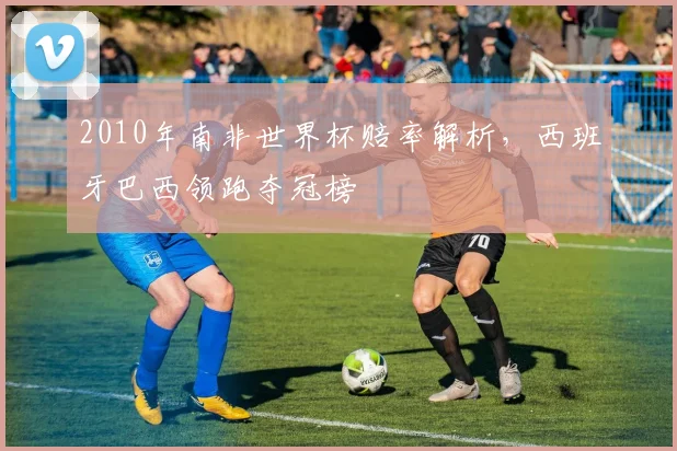 2010年南非世界杯赔率解析，西班牙巴西领跑夺冠榜