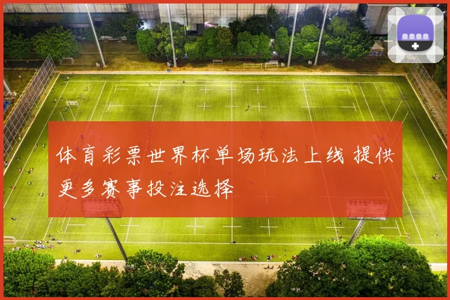 体育彩票世界杯单场玩法上线 提供更多赛事投注选择