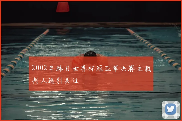 2002年韩日世界杯冠亚军决赛主裁判人选引关注