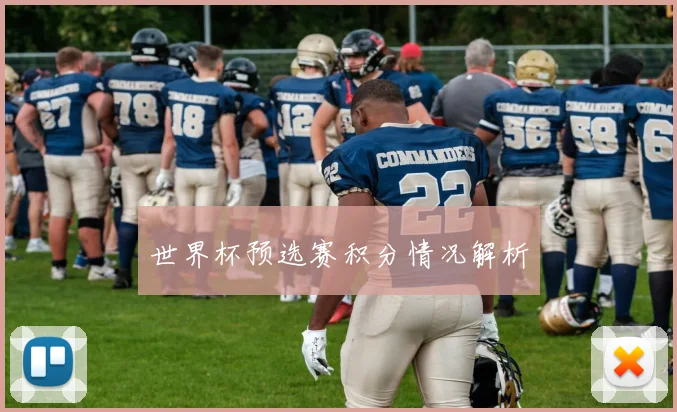 世界杯预选赛积分情况解析