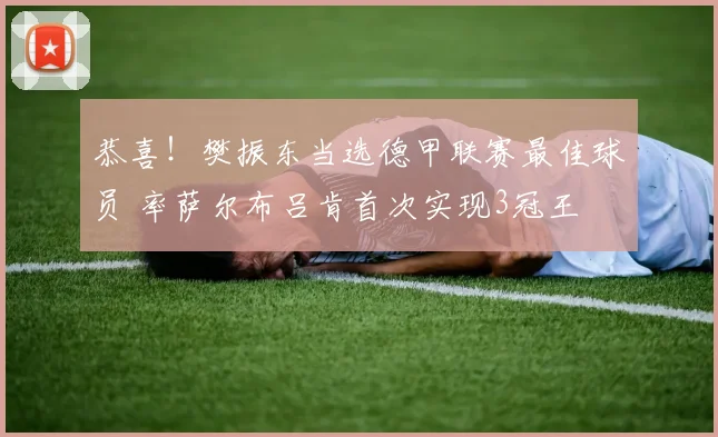 恭喜!樊振东当选德甲联赛最佳球员 率萨尔布吕肯首次实现3冠王
