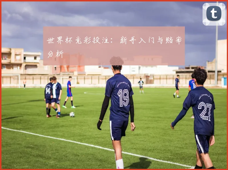 世界杯竞彩投注:新手入门与赔率分析