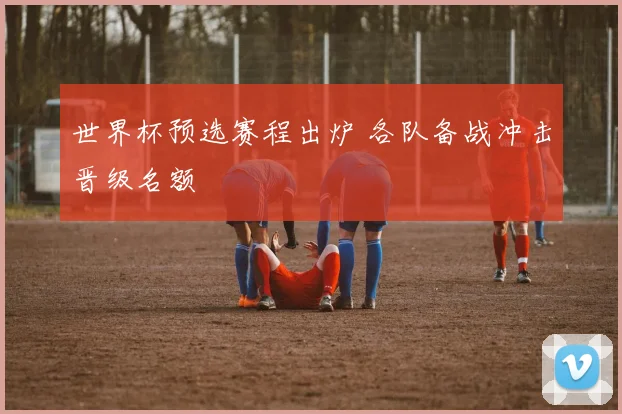 世界杯预选赛程出炉 各队备战冲击晋级名额