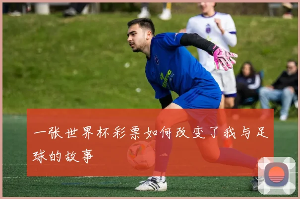 一张世界杯彩票如何改变了我与足球的故事