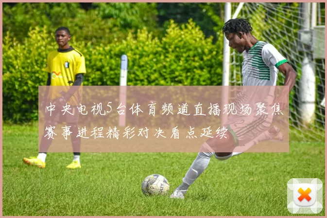 中央电视5台体育频道直播现场聚焦赛事进程精彩对决看点延续