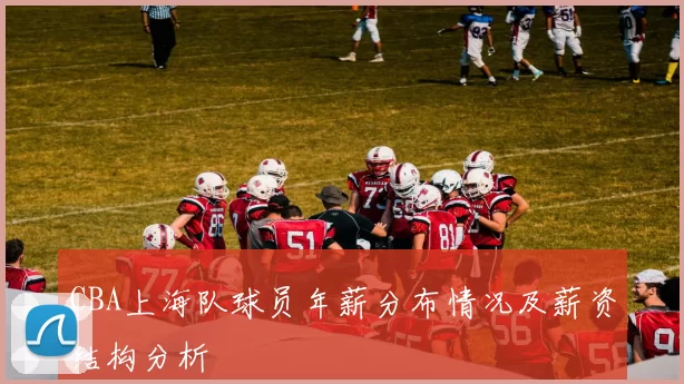 CBA上海队球员年薪分布情况及薪资结构分析