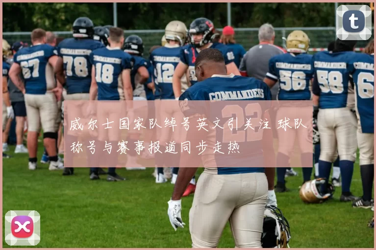 威尔士国家队绰号英文引关注 球队称号与赛事报道同步走热