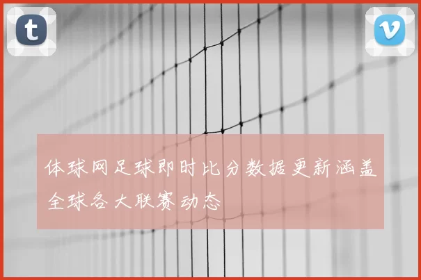 体球网足球即时比分数据更新涵盖全球各大联赛动态
